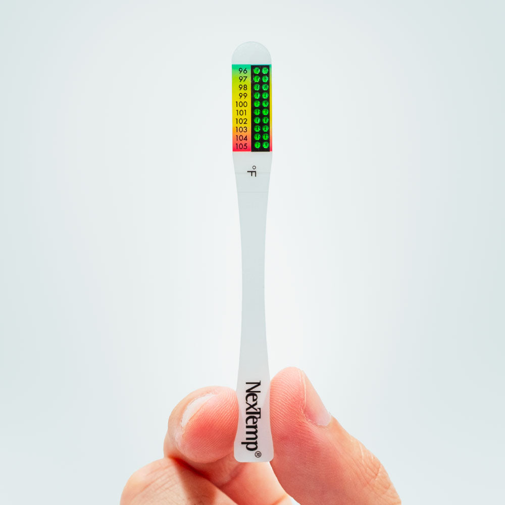 Hand Holding NexTemp GO Disposable Thermometer